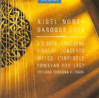 Nigel North - Baroque Lute